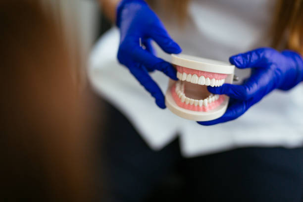 Trafalgar, IN Holistic Dental Care Services Company